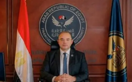 مساعد رئيس الرقابة المالية يكشف أن 60% من مستثمري البورصة المصرية من الشباب