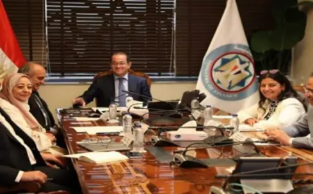 وزير المالية يكشف عن نجاح الإصلاحات الاقتصادية والمالية بتحقيق فائض أولى بنسبة ٣,٦٪