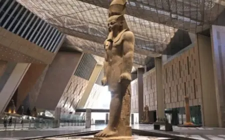 رئيس الصين يشيد بافتتاح المتحف الكبير في مصر وتأثيره العميق على التاريخ الثقافي