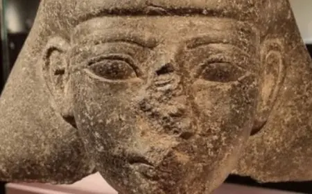 هولندا تستعد لإعادة قطعة أثرية مصرية قديمة تعود إلى 3500 عام