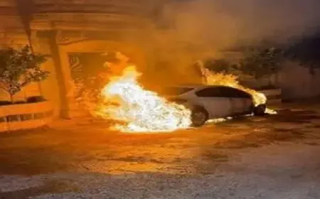 وزير الزراعة يشارك في حفل ختام تخريج 24 متدرباً من 19 دولة أفريقية لتعزيز التعاون الزراعي