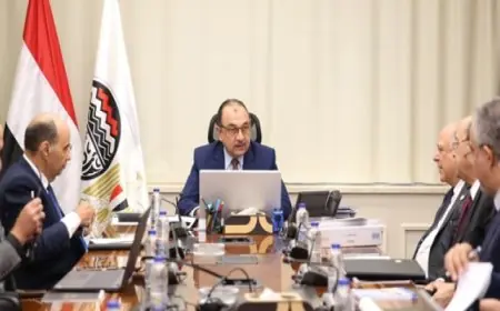 وزير قطاع الأعمال يعزز صادرات البلاد بمتابعته جهود تعديل آلية حدود الكربون