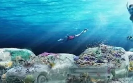سيارات خرسانية تتحول إلى شعاب مرجانية في حديقة تحت مياه مدينة ميامي