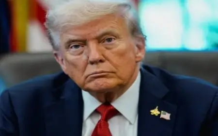 افتتاح مهرجان البحر الأحمر بعرض فيلم العملاق الذي ينتظره الجميع