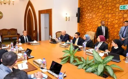 الوزير عبد العاطى يؤكد أهمية استمرار الحوار بين وزارة الخارجية والشباب وطلبة الجامعات