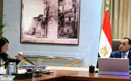 رئيس الوزراء يبرز التقدم في تنفيذ السردية الوطنية للتنمية الاقتصادية بعد الإطلاق الأول