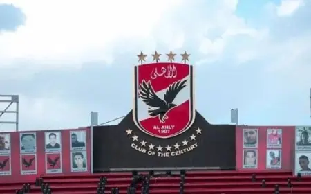 النادي الأهلي يعيد تنظيم صفوفه الداخلية تحت قيادة ياسين منصور