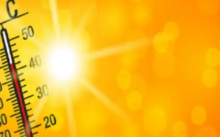خبراء يحذرون من موجات حر طويلة الأمد تؤثر على البشرية حتى بعد انتهاء الانبعاثات