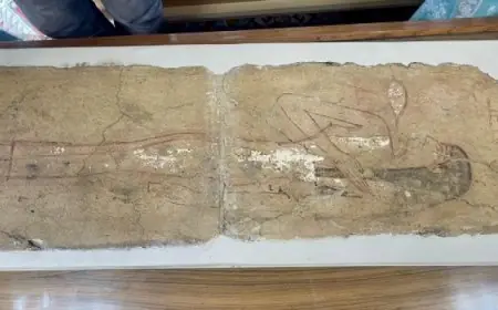 وزير الصحة يلتقي ممثلي الصحة العالمية لتعزيز سلامة الأدوية واللقاحات