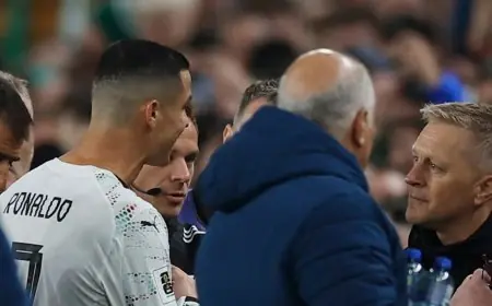 كريستيانو رونالدو يهنئ مدرب إيرلندا خلال مباراة البرتغال الأسباب وراء ذلك