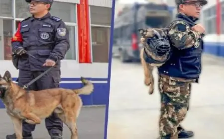 جوجل تعلن عن جيمينى 3 وتزيد التنافس في عالم الذكاء الاصطناعي