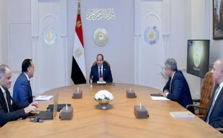 الرئيس السيسى يبرز ضرورة التنسيق لتنظيم حفل افتتاح المتحف المصرى الكبير بما يتناسب مع مكانة مصر العظيمة