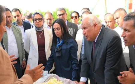 وزيرة التضامن الاجتماعي تقوم بجولة تفقدية في العاصمة الإدارية الجديدة بمحافظة الوادي الجديد