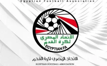 الاتحاد المصري يتخذ قرارًا صارمًا بشطب 4 مدربين وإداريين بسبب اعتداء على الحكم