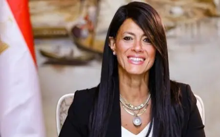 المشاط تشجع الشركات اليابانية على الاستثمار في النموذج الاقتصادي الجديد لمصر