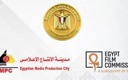 مجلس الوزراء يوافق على إصدار لائحة جديدة لتنظيم التصوير الأجنبي في مصر