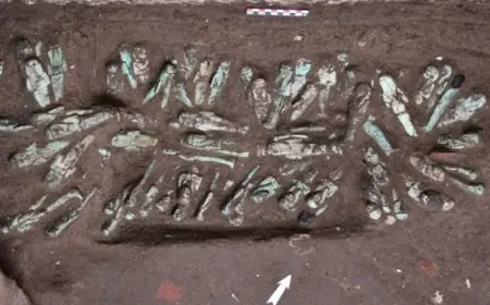 خطوة بسيطة تخفض مستوى السكر في الدم وتحد من الرغبة في تناول الحلويات