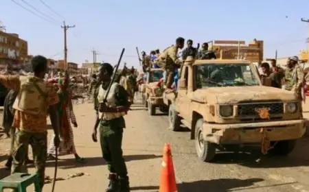 الجيش السوداني يعيد الأمن والاستقرار لمدينة دنقلا بعد اشتباكات عنيفة في كردفان