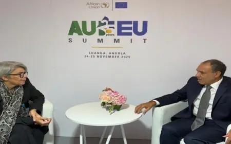 وزير الخارجية يؤكد على ضرورة وقف إطلاق النار وبدء عملية سياسية تدعم وحدة السودان