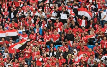 متحدث الرياضة يؤكد توفير طائرات لنقل جماهير المنتخب لدعمه في المغرب