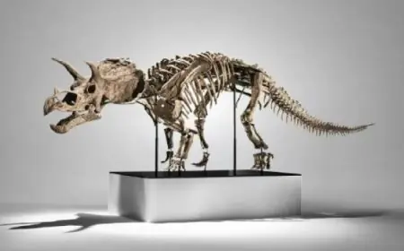 هيكل دينا يباع بمبلغ 5.4 مليون دولار في مزاد دولي مثير