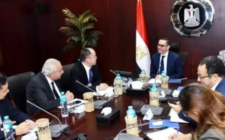 بدء المرحلة السابعة لتوصيل التيار الكهربائي في أراضي بيت الوطن بالقاهرة الجديدة حسب إعلان وزير الإسكان