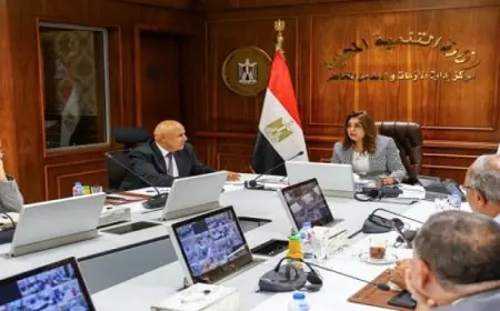 كجوك تطمح لجذب ممولين جدد من خلال منظومة ضريبية سهلة وعادلة لحماية حقوق شركائها