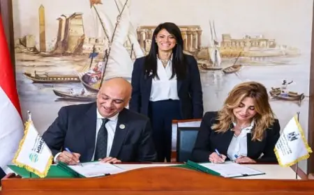 المشاط تفتتح آفاق جديدة لريادة الأعمال بتوقيع مذكرة تفاهم لتحسين البيئة التنظيمية والتشريعية للمشروعات الصغيرة