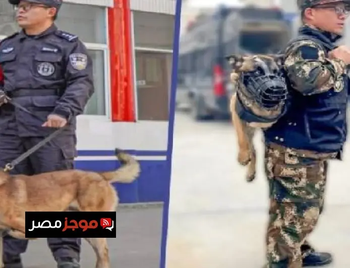 جوجل تعلن عن جيمينى 3 وتزيد التنافس في عالم الذكاء الاصطناعي