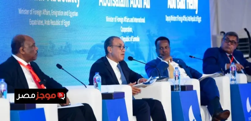 وزير الخارجية يؤكد أن حوكمة البحر الأحمر تظل من اختصاص الدول الساحلية فقط