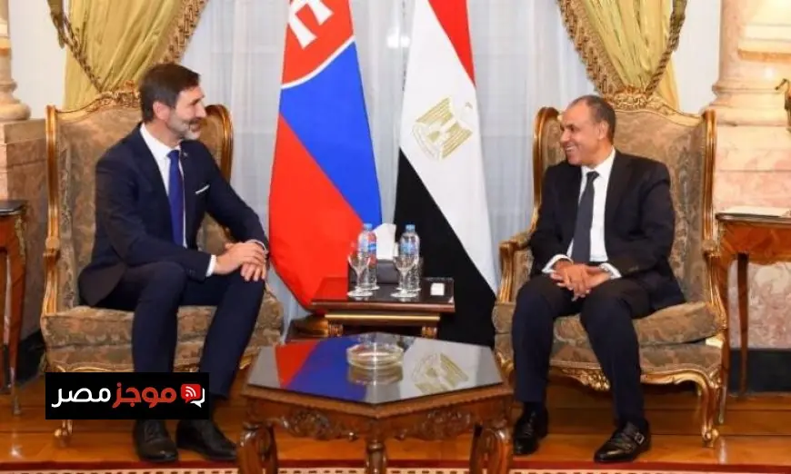 مصر وسلوفاكيا تعززان التعاون الاقتصادي والتجاري من خلال الشراكة الفعالة