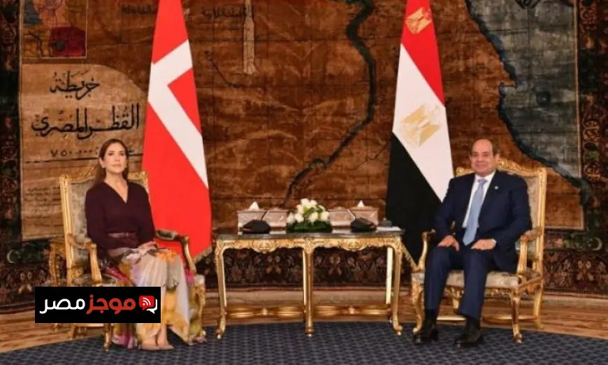 الرئيس السيسي يستعرض آفاق جديدة لتعزيز العلاقات الثنائية بين مصر والدنمارك
