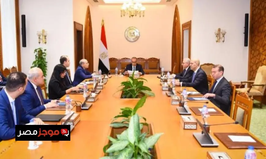 وزير الخارجية المصري يبرز أهمية تعزيز وتطوير العلاقات مع الدول الآسيوية