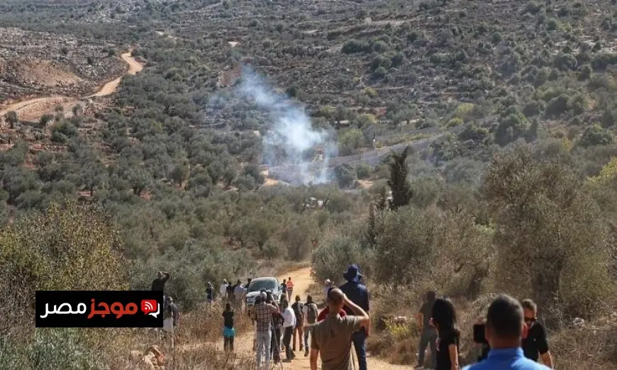 هجوم مستوطنين إسرائيليين على قاطفي الزيتون في عقربا جنوب نابلس