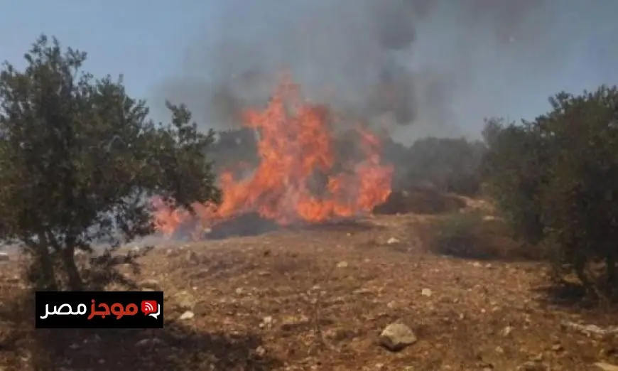 اقتحام الاحتلال لمخيم الفوار واعتداء المستوطنين بإشعال النيران في أراضٍ زراعية جنوب نابلس