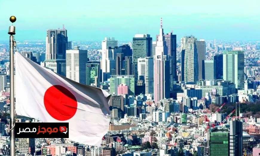 رئيسة وزراء اليابان تؤكد استمرار دعم أوكرانيا خلال أول مكالمة هاتفية مع زيلينسكي