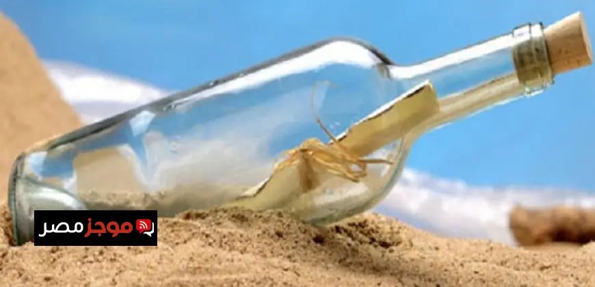 وزير العمل يعلن عن خطة لرفع الوعي بقانون العمل الجديد لتحسين كفاءة الإنتاج