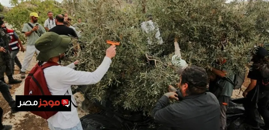 برنامج الأغذية العالمي يكشف عن استمرار انخفاض تدفق الغذاء إلى غزة رغم الحاجة الملحة