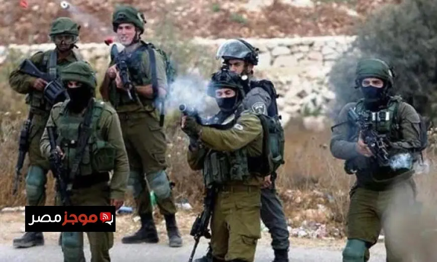 إصابة شاب فلسطيني إطلاق نار من الاحتلال في جنين وحرق أشجار الزيتون بشكل متعمد