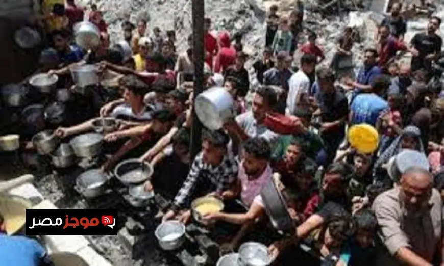 مكتب الإعلام بغزة يكشف تفاصيل صادمة حول دخول 28% فقط من المساعدات الإنسانية المقررة من الاحتلال