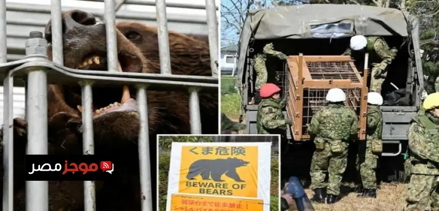 وزير قطاع الأعمال يلتقي السفير الإماراتي الجديد بالقاهرة لتعزيز سبل التعاون الثنائي