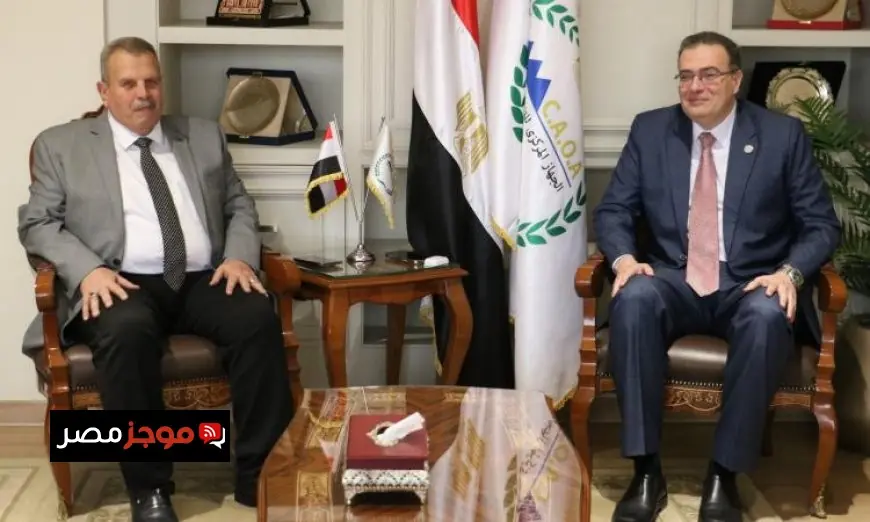 التنظيم والإدارة يعلن عن الهيكل التنظيمي الجديد وجدول الوظائف المحدث لشركة السكة الحديد