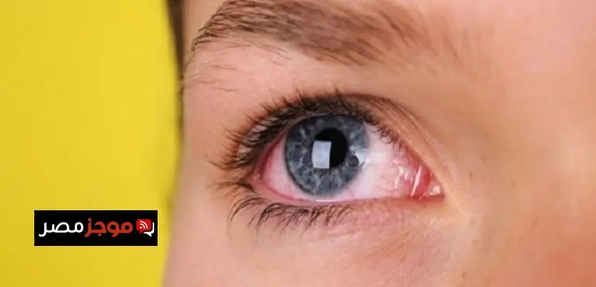 رئيس المخابرات يستقبل نائب الأمين العام للجبهة الشعبية لتحرير فلسطين في زيارة رسمية