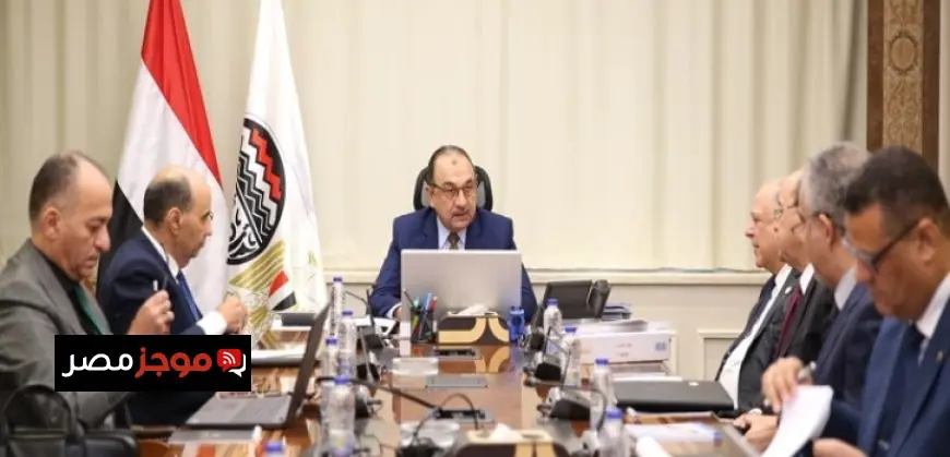 وزير قطاع الأعمال يعزز صادرات البلاد بمتابعته جهود تعديل آلية حدود الكربون