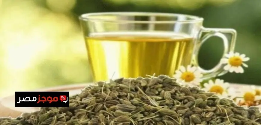 وزير الكهرباء يلتقي بخبراء جامعة عين شمس وهيئة المواد النووية لتعزيز التوجهات العلمية والطاقة النووية