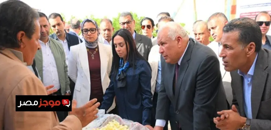 الوطنية للإعلام تعرب عن حزنها العميق لوفاة الإعلامية ميرفت سلامة