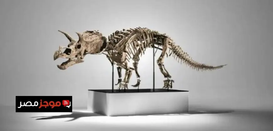 هيكل دينا يباع بمبلغ 5.4 مليون دولار في مزاد دولي مثير