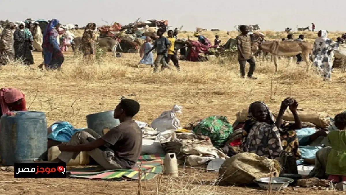 وزير الري يتوجه إلى بوروندي للمشاركة في اجتماعات وزراء مياه دول حوض النيل