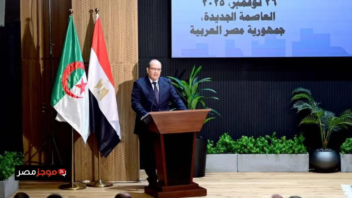 سيفي غريب الشركات المصرية في الجزائر تبرز كنموذج ملهم للمثابرة والنجاح