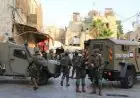 الاحتلال الإسرائيلي يعتقل العشرات من الفلسطينيين خلال عملية اقتحام في طوباس
